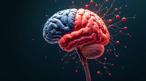 Split-Brain-Phänomen: Gehirn, Psychologie und Bewusstsein entschlüsseln