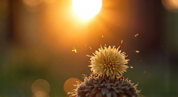 Das sind die Top 7 Schritte beim Suizidmanagement