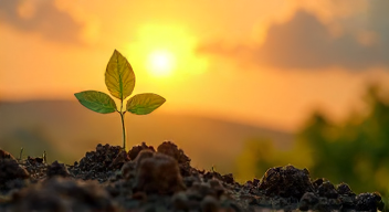 Die Psychologie der Hoffnung und Resilienz (2/10)